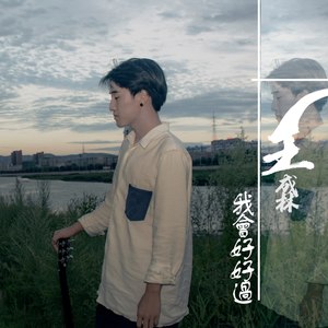 我会好好过