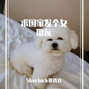 求国家发个女朋友 (proud by 一号线)