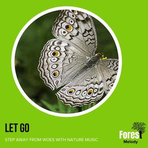 Let Go - Step Away from Woes with Nature Music