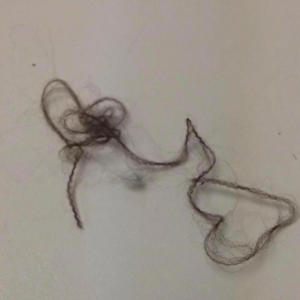 Step Up or Step Down (feat. King Merlino) (Radio Edit)