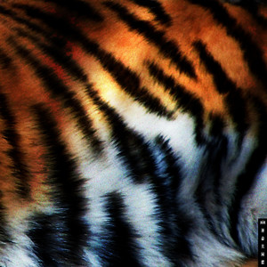 運命共同體 (feat. HUR)