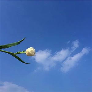 南北