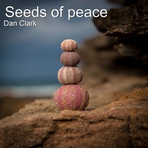 Seeds of Peace (Tunedly Cut)