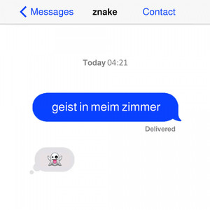 Geist in meim Zimmer