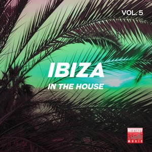 Ibiza In The House, Vol. 5