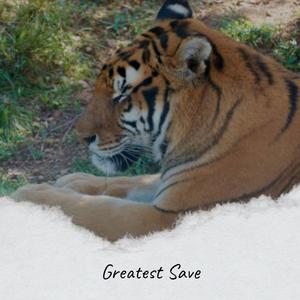 Greatest Save