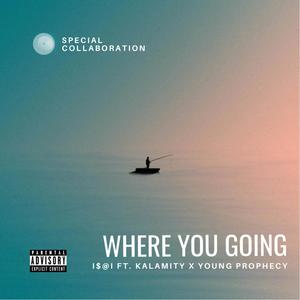 Where you Going? (Explicit)