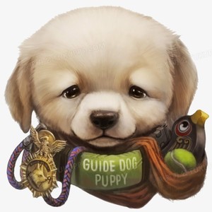 广州雯雯想你了 - 孤单前行