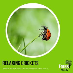 Relaxing Crickets - Tropical Nature Forest Water and Bird Sounds, Vol. 9