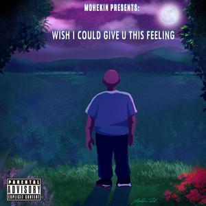 Wish I Could Give You This Feeling (Explicit)