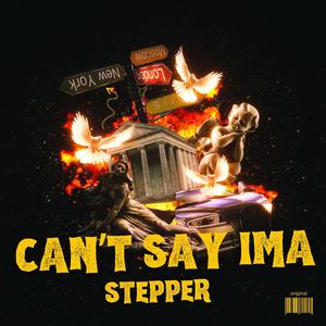 cant say ima stepper (feat. Mr. Congo & ACP) (Explicit)