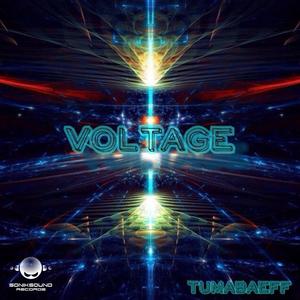 Voltage - Single