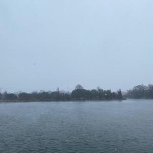 Ominous Music Style - Genesee