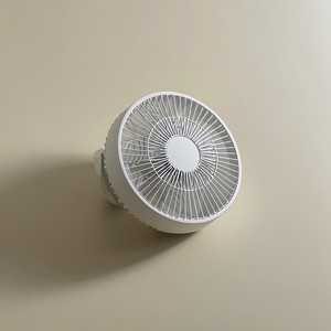 The Unwanted Valentine