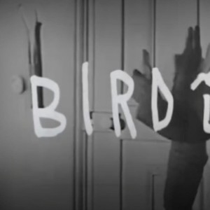 BIRD (Remix) [Explicit]