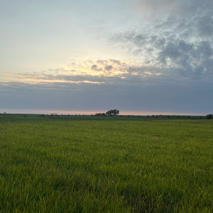 No Importa Si Llueve (Explicit)