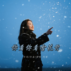 风哥 - 你看你看雪花开