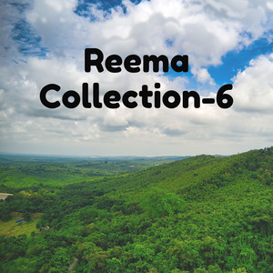 Reema Collection-6