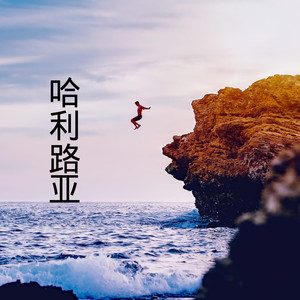 我只中意你