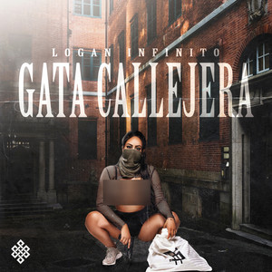 Gata Callejera