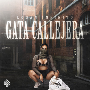 Gata Callejera