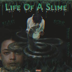 Life Of A Slime (Explicit)