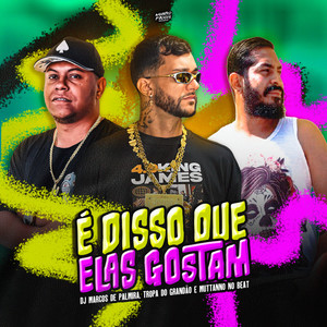 È Disso Que Elas Gostam (Explicit)