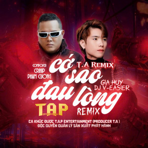 Cớ Sao Đau Lòng (T.A Remix)