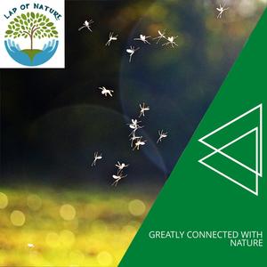 Greatly Connected With Nature