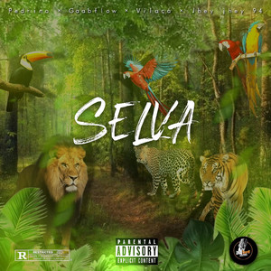 SELVA (Explicit)