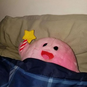極光類型