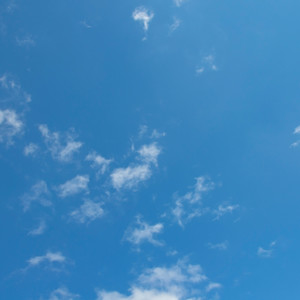 Easy Breeze