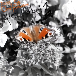 Alles vorbei?(feat. CharlySchablone)