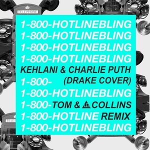 Hotline Bling(Tom & Collins Remix)