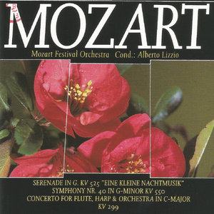 Symphony No. 40 in G Minor, K. 550 - I. Molto Allegro (G小调第40号交响曲，作品550 - 第一乐章 很快的快板)