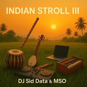 INDIAN STROLL III