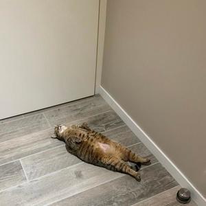 her body on the floorr! (feat. riv & sanc2ary) (Explicit)