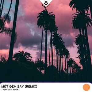 Một Đêm Say