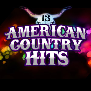 Today's Top Country Hits, Vol. 13