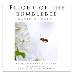 Flight of the Bumblebee (Solo Piano)