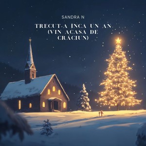 Trecut-a încă un an (Vin Acasă De Crăciun)