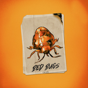 Bed Bugs