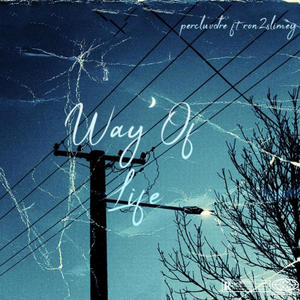 Way of Life (feat. Ron2slimey) (Explicit)