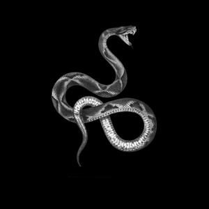 Oy G (feat. C0ltural SH) (Explicit)