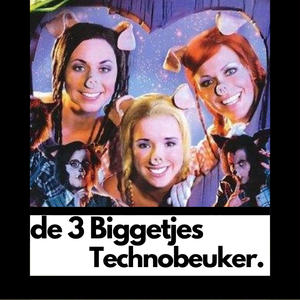 de 3 Biggetjes Technobeuker