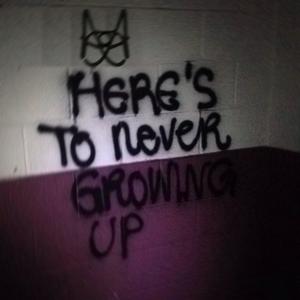 Here's To Never Growing Up (Explicit)