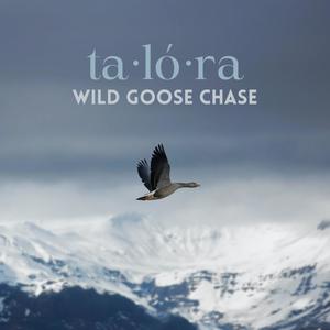 wild goose chase (feat. BARÇIN)