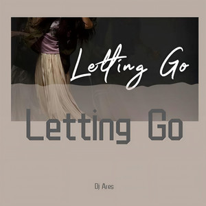 蔡健雅-Letting Go 蔡健雅 (Dj Ares /Collision Lab remix版)