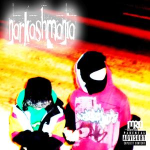 svar1gs (feat. ricins) (Explicit)