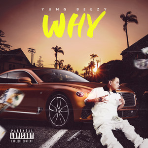 Why (Explicit)